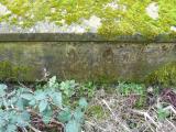 image of grave number 240813